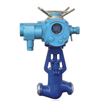 Power station valve